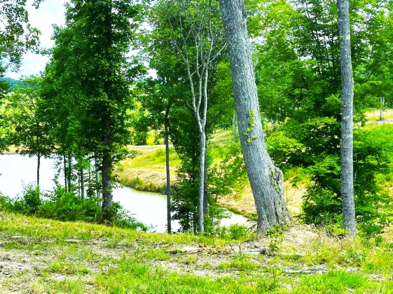 104-Pond-View-768x576 (1)