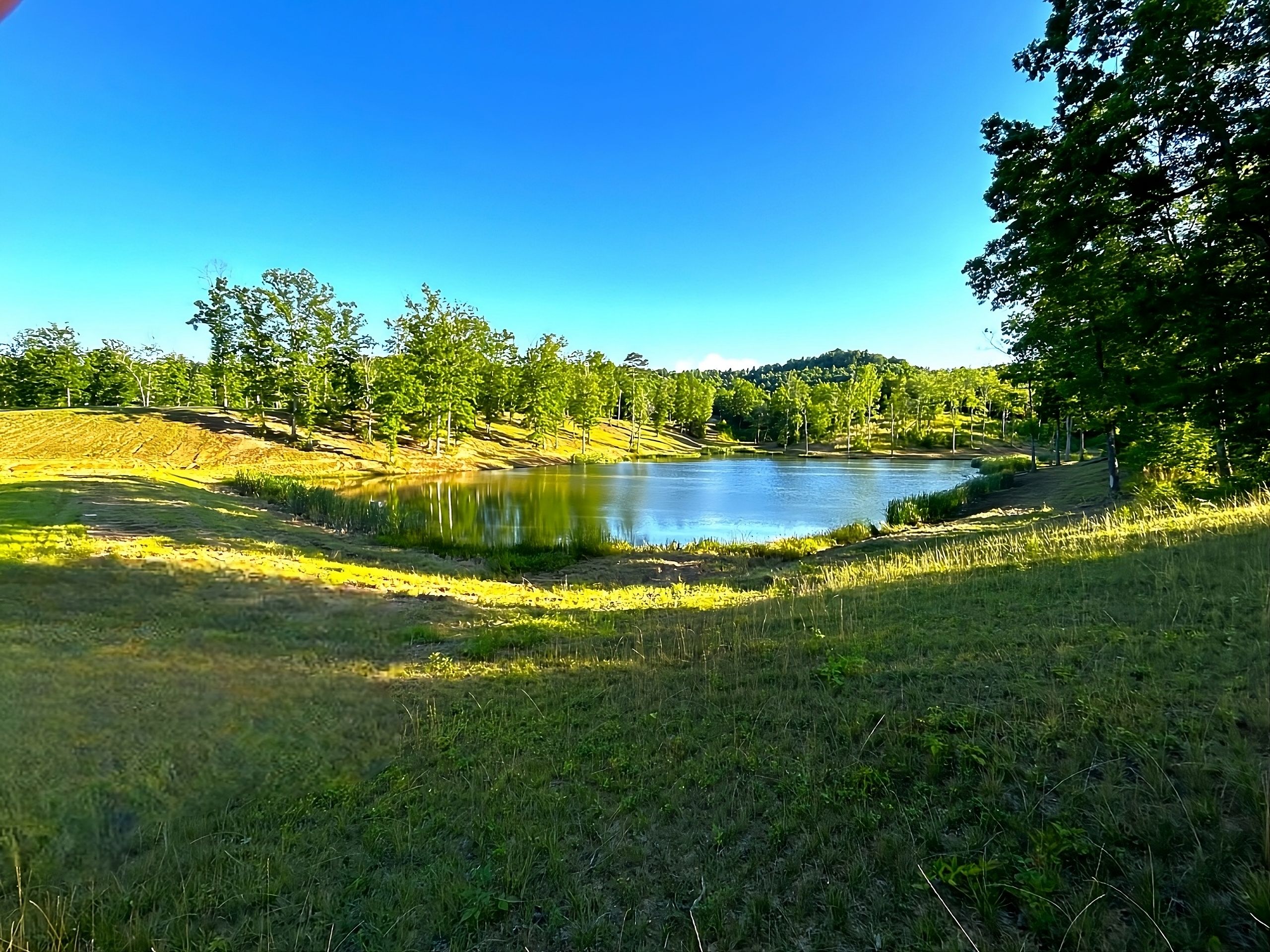 IMG_2966_1-Photoroom-J972Oo0ew-transformed (1)