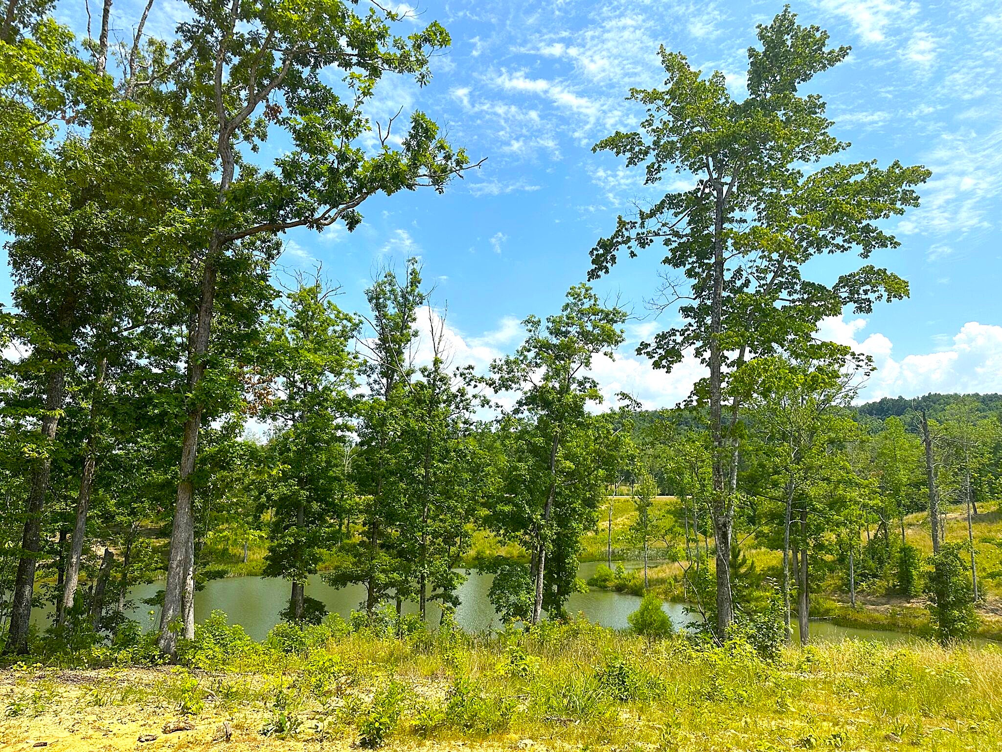 Phase 3D 4782-2048x1536