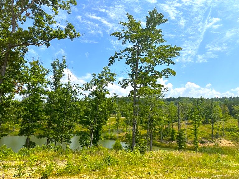 Phase 3D 4783-768x576