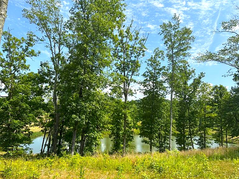 Phase 3D 4784-768x576