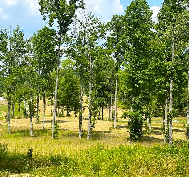 Phase 3D 4810-768x576