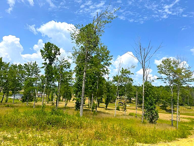 Phase 3D 4811-768x576