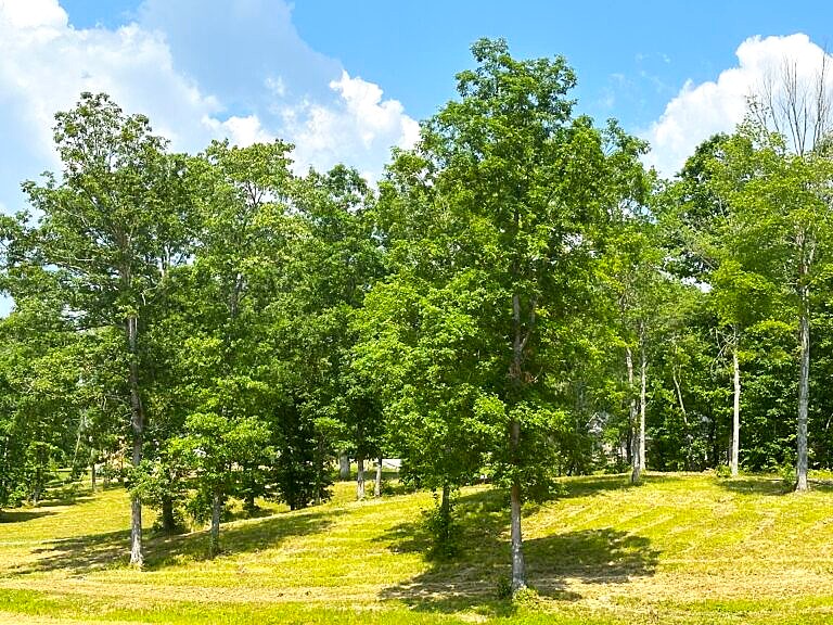 Phase 3D 4817-768x576