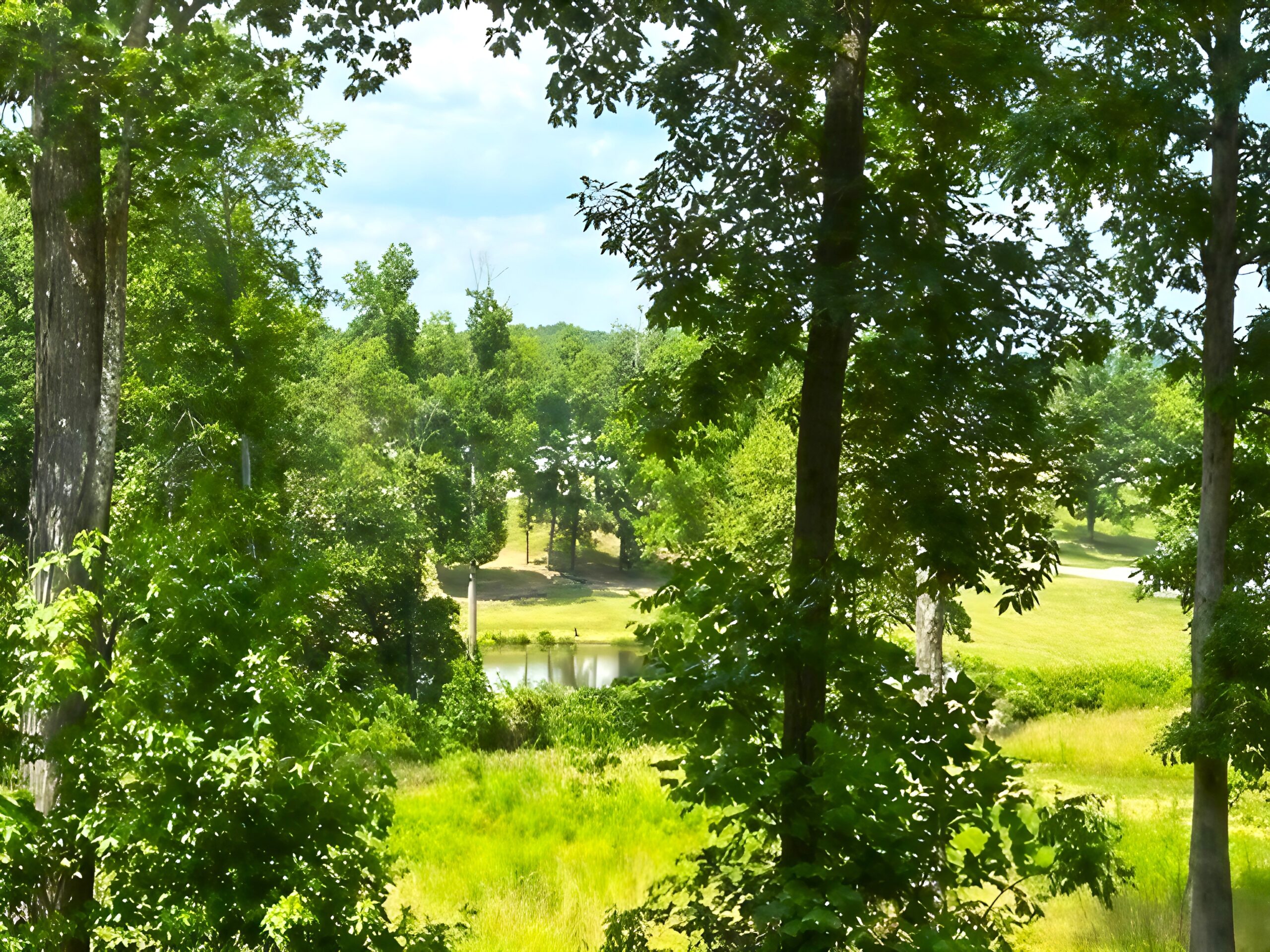 Phase 3D IMG_4802-768x576 (4)